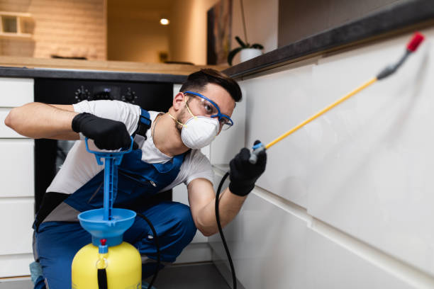 Best Pest Removal Services  in La Homa, TX