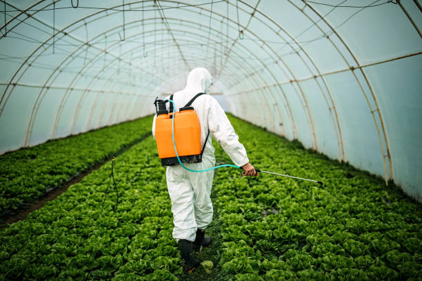 Best Commercial Pest Control Services  in La Homa, TX