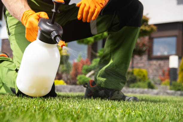 Best Pest Prevention Services  in La Homa, TX