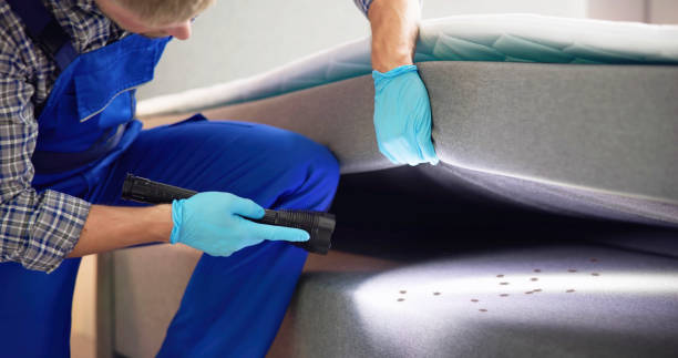 Best Termite Control Services  in La Homa, TX