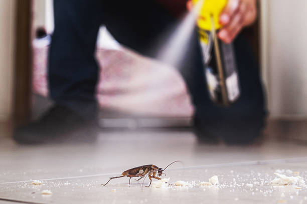 Best Pest Control Near Me  in La Homa, TX