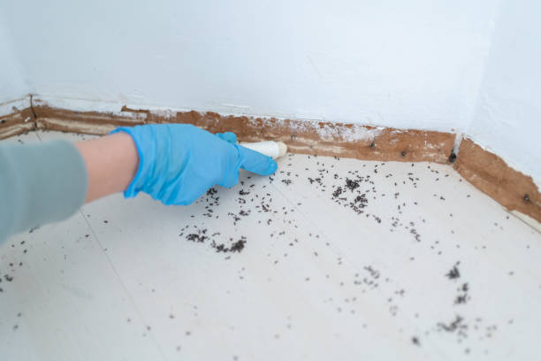 Pest Prevention Services in La Homa, TX